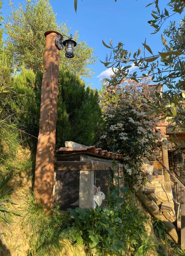 Villa Bujtina Salko Mucaj Exterior foto